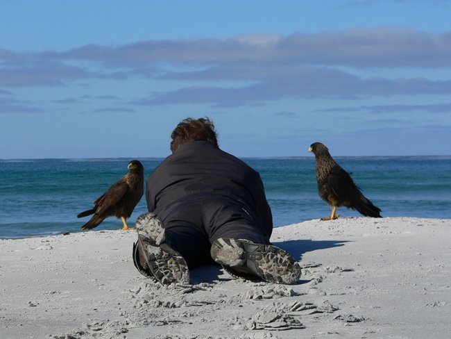 ../../Pictures/241209/131 tote Robbe ja oder nein.JPG